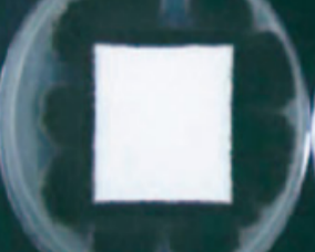 リメイクガードシリーズ